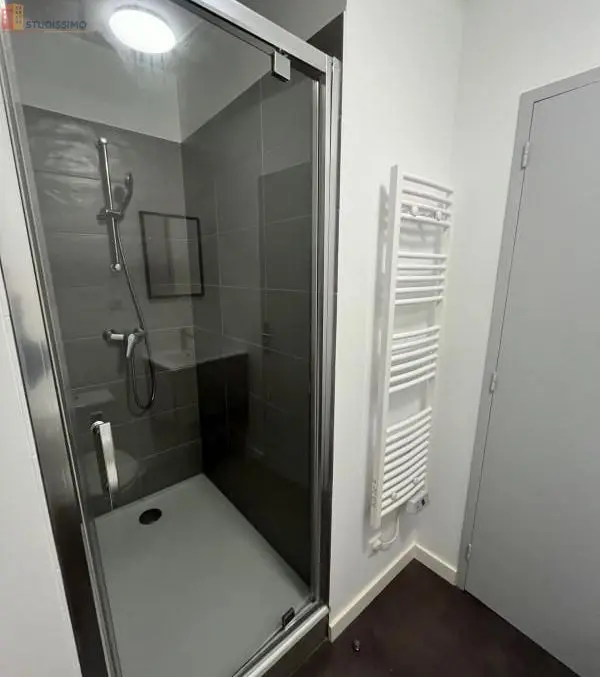 Studio 26m² Saint-Étienne 42000 - Meublé, DPE C - Photo 6