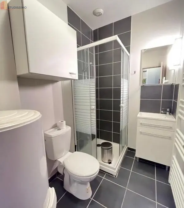 Studio meublé 17m² Saint-Étienne - Meublé, DPE C - Photo 3