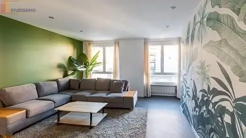 Studio 30m² Saint-Étienne 42100 - Meublé - Photo 18