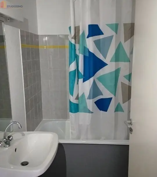 Studio 19m² Saint-Étienne 42100 - Meublé, lumineux - Photo 1