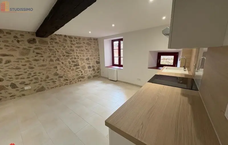 Studio 35m² Saint-Haon-le-Châtel - lumineux, rénové - Photo 23
