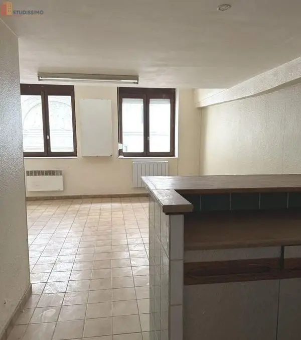 Studio 29m² Saint-Étienne - lumineux - Photo 4