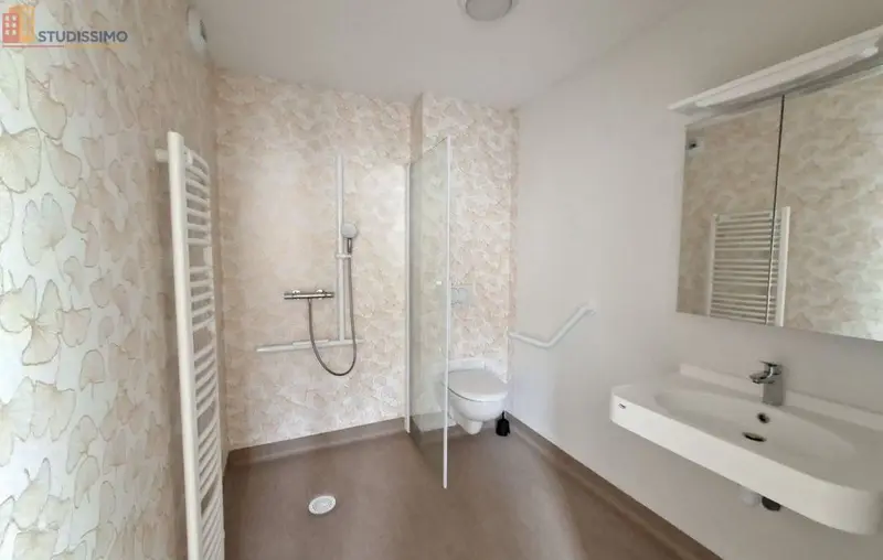 Studio 20m² Roanne - Bilan énergétique B - Photo 12