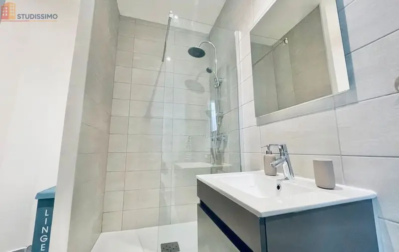 Studio 23m² Saint-Étienne centre - Meublé, lumineux - Photo 8