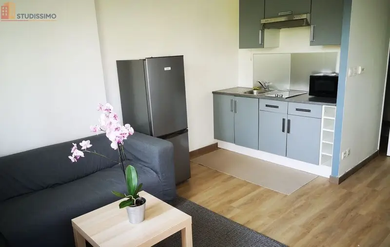 Studio meublé 24m² Saint-Étienne 42000 - Terrasse, chauffage compris - Photo 18