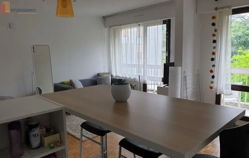 Studio meublé 37m² Saint-Étienne - Terrasse 8m², meublé - Photo 1