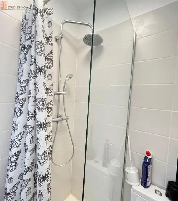 Studio meublé 18m² Saint-Étienne 42000 - Meublé, DPE D - Photo 9