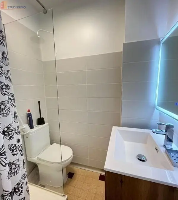 Studio meublé 18m² Saint-Étienne 42000 - Meublé, DPE D - Photo 14