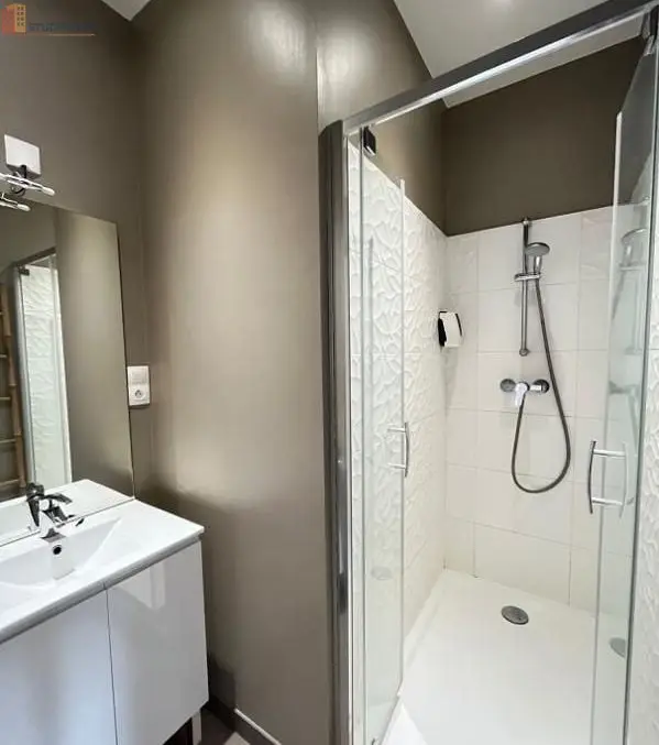 Studio meublé 25m² Saint-Étienne - Meublé, DPE C - Photo 1