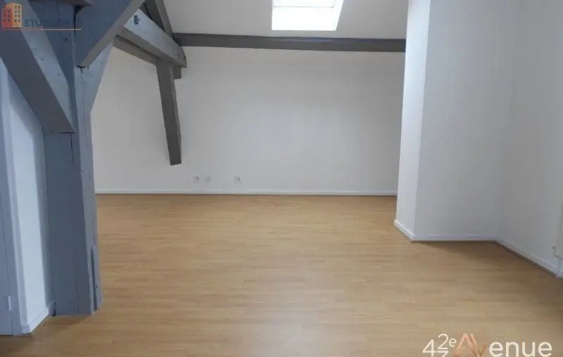 Studio 49m² Saint-Étienne 42000 - Lumineux, atypique - Photo 27
