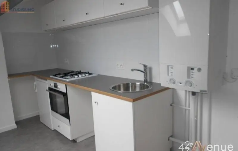 Studio 49m² Saint-Étienne 42000 - Lumineux, atypique - Photo 14