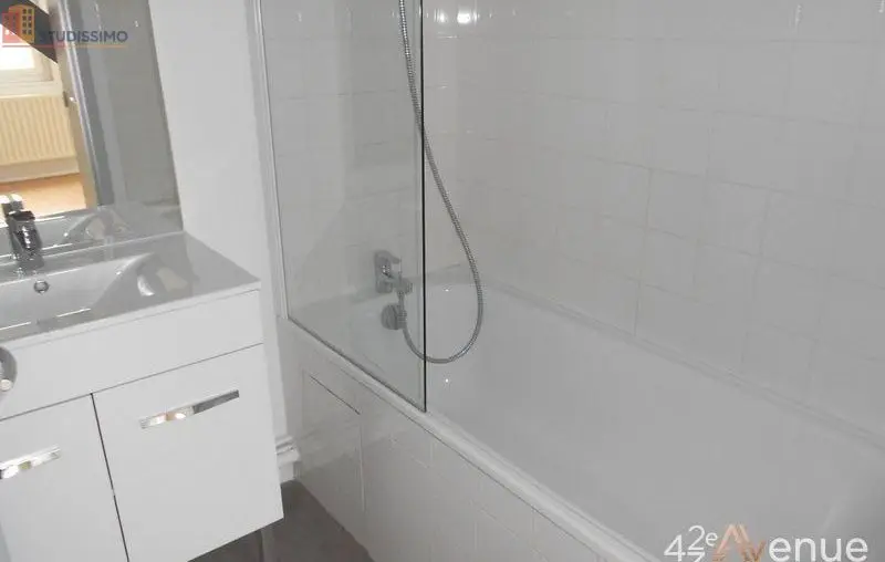 Studio 49m² Saint-Étienne 42000 - Lumineux, atypique - Photo 4