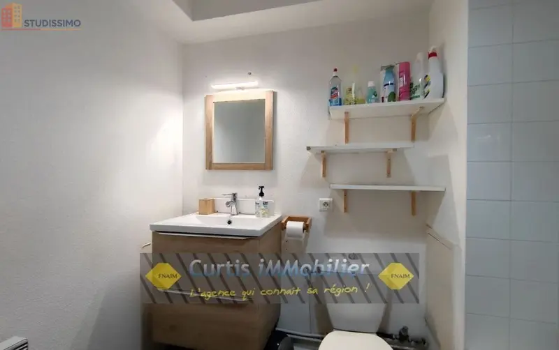 Studio 19m² Saint-Étienne 42100 - Étage élevé, DPE C - Photo 8