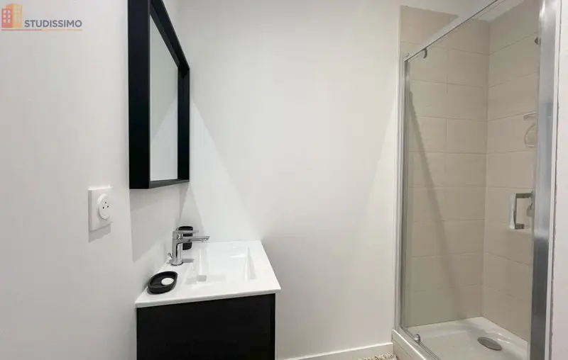 Studio 18m² Saint-Étienne 42100 - Meublé, 2e étage - Photo 3