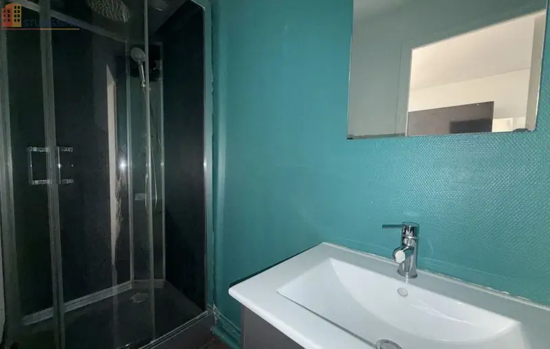 Studio meublé 26m² Saint-Étienne - Meublé, DPE D - Photo 13