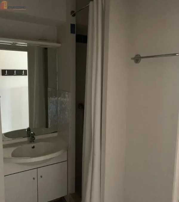 Studio meublé 19m² Saint-Priest-en-Jarez - Meublé, 19m² - Photo 20