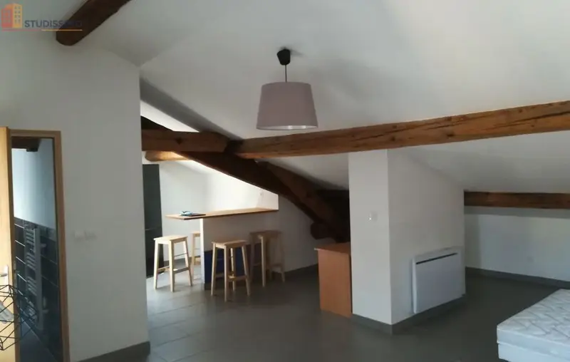 Studio meublé 43m² Saint-Étienne 42000 - Grand, dernier étage - Photo 1