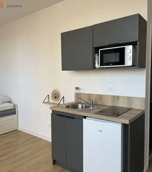 Studio 21m² Saint-Étienne - Meublé, DPE D - Photo 3
