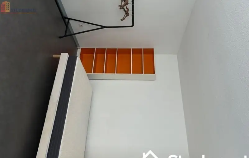 Studio 25m² Saint-Étienne - 1er étage, lumineux - Photo 2
