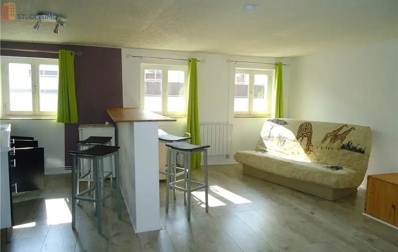 Studio meublé 30m² Saint-Étienne 42000 - Meublé, 1 pièce - Photo 13