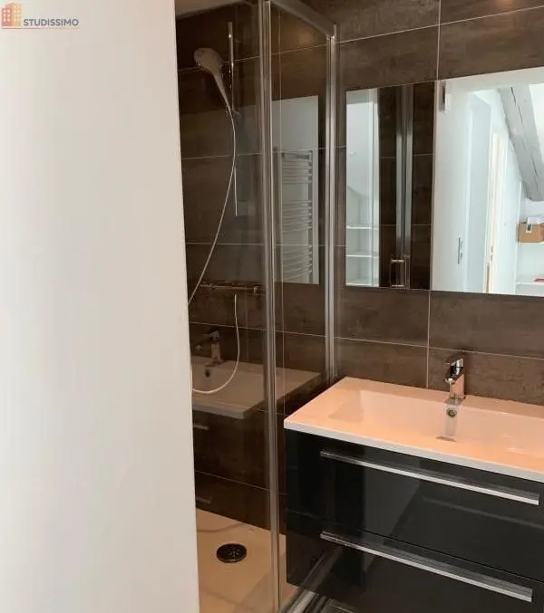 Studio 17m² Saint-Étienne 42000 - Étage élevé, DPE C - Photo 6