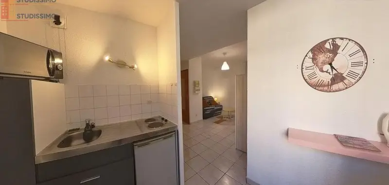 Studio 25m² Saint-Étienne 42000 - Meublé, DPE D - Photo 20