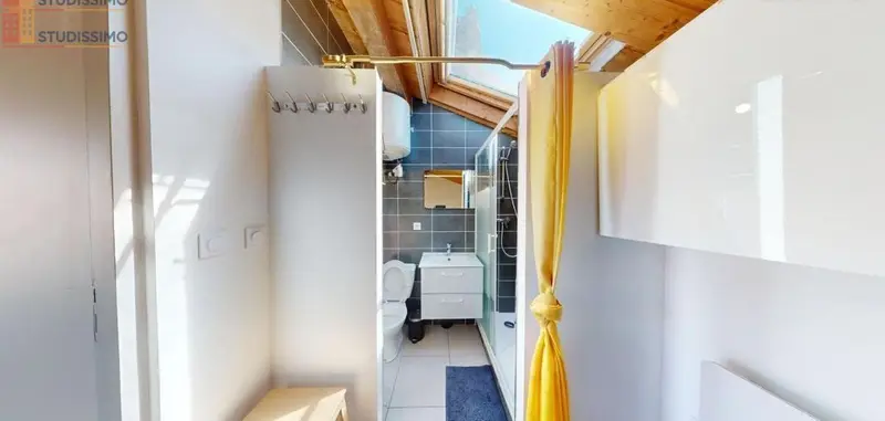 Studio meublé 35m² Saint-Étienne 42000 - Meublé, DPE C - Photo 14