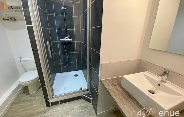 Studio meublé 23m² Saint-Étienne 42000 - Meublé, 1 pièce - Photo 12