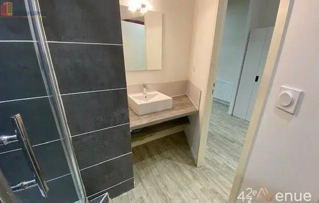Studio meublé 23m² Saint-Étienne 42000 - Meublé, 1 pièce - Photo 7