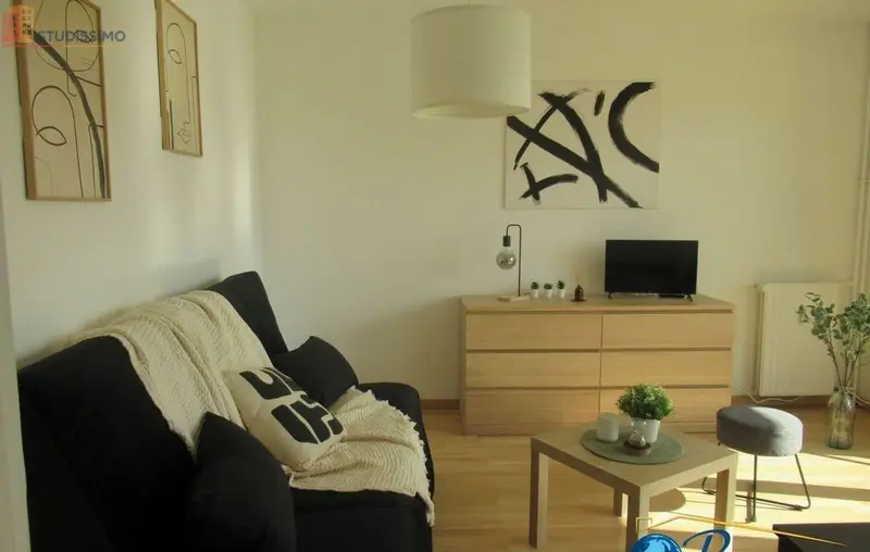 Studio 35m² Saint-Étienne 42100 - Meublé, DPE D - Photo 26