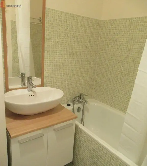 Studio 35m² Saint-Étienne 42100 - Meublé, DPE D - Photo 12