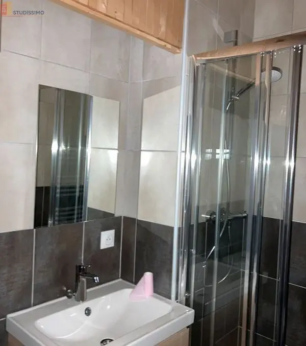 Studio 20m² Saint-Étienne 42100 - Meublé, 1er étage - Photo 4