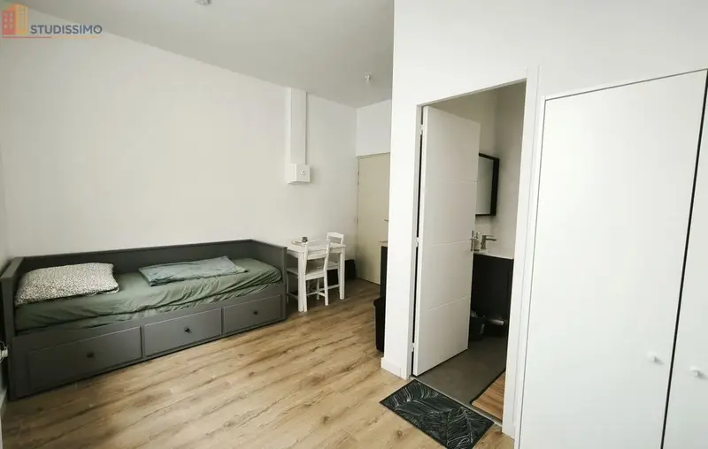 Studio meublé 17m² Saint-Étienne - Meublé, 1 pièce - Photo 27