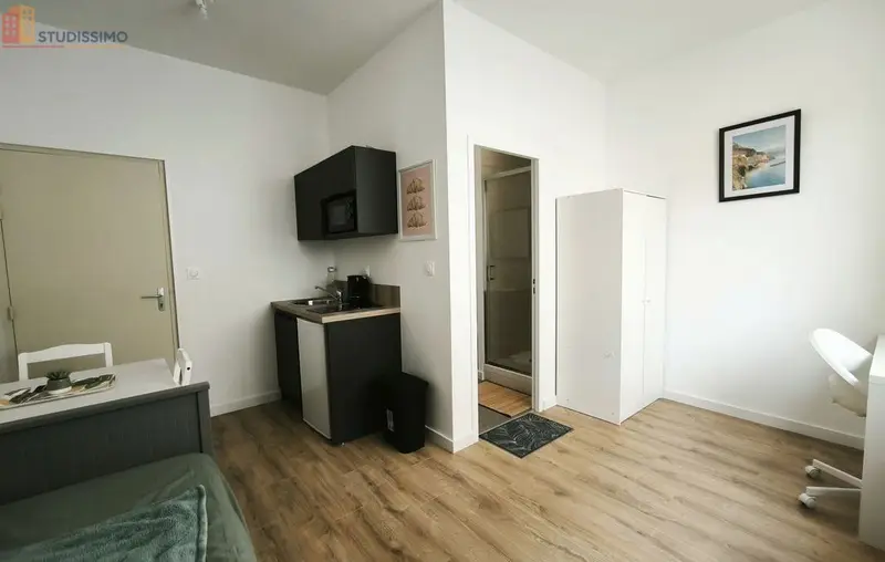 Studio meublé 17m² Saint-Étienne - Meublé, 1 pièce - Photo 6
