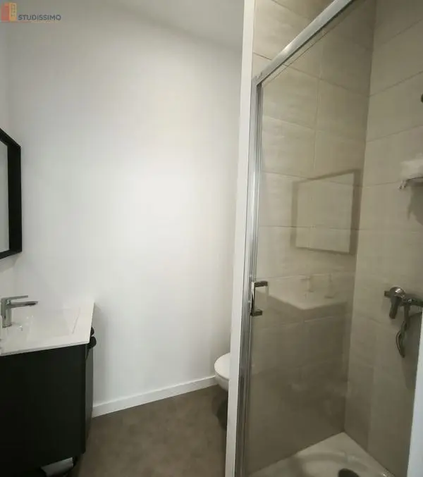 Studio meublé 17m² Saint-Étienne - Meublé, 1 pièce - Photo 10