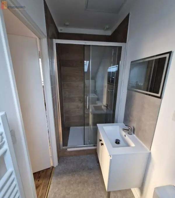 Studio 26m² Saint-Étienne 42000 - Meublé, lumineux - Photo 3