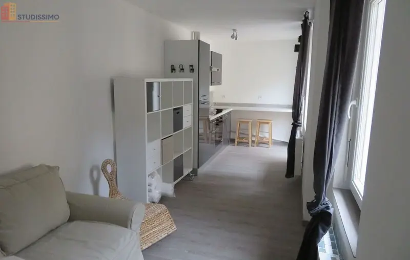 Studio meublé 25m² Roanne - Meublé, DPE C - Photo 14