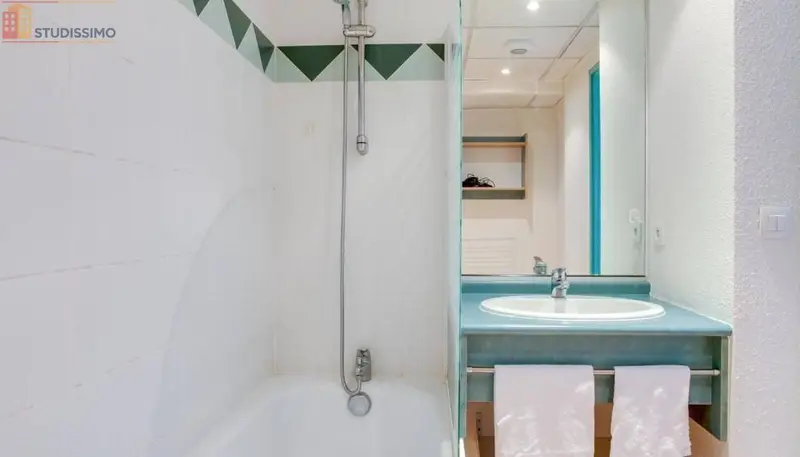 Studio meublé 20m² Saint-Étienne 42100 - Meublé, 1 pièce - Photo 17