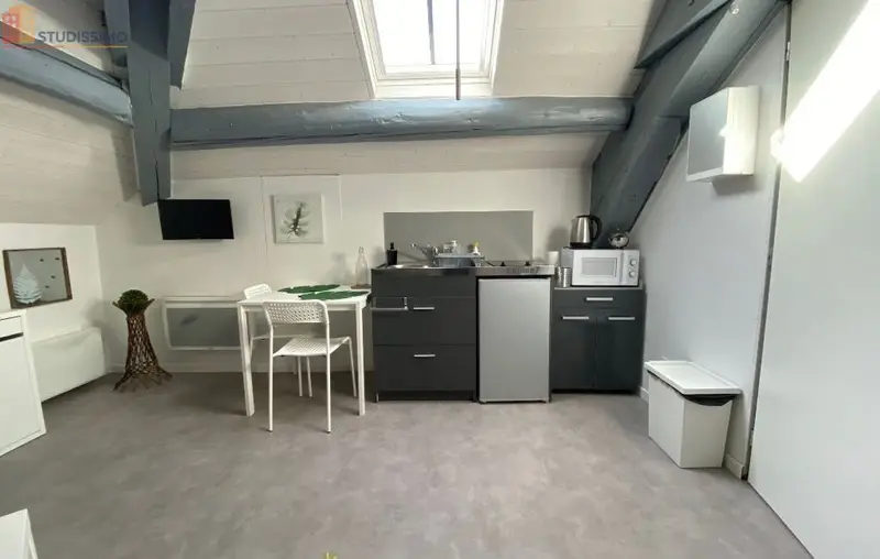 Studio 15m² Roanne - Dernier étage, lumineux - Photo 26