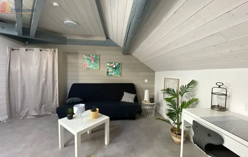 Studio 15m² Roanne - Dernier étage, lumineux - Photo 7