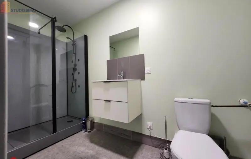 Studio 29m² Roanne - Meublé, DPE D - Photo 3