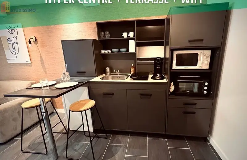 Studio meublé 22m² Roanne centre - Terrasse, lumineux - Photo 11