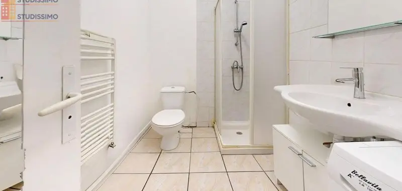 Studio meublé 31m² Saint-Étienne 42000 - Meublé, 1 pièce - Photo 49
