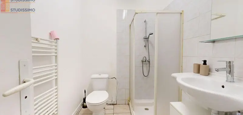 Studio meublé 31m² Saint-Étienne 42000 - Meublé, 1 pièce - Photo 26
