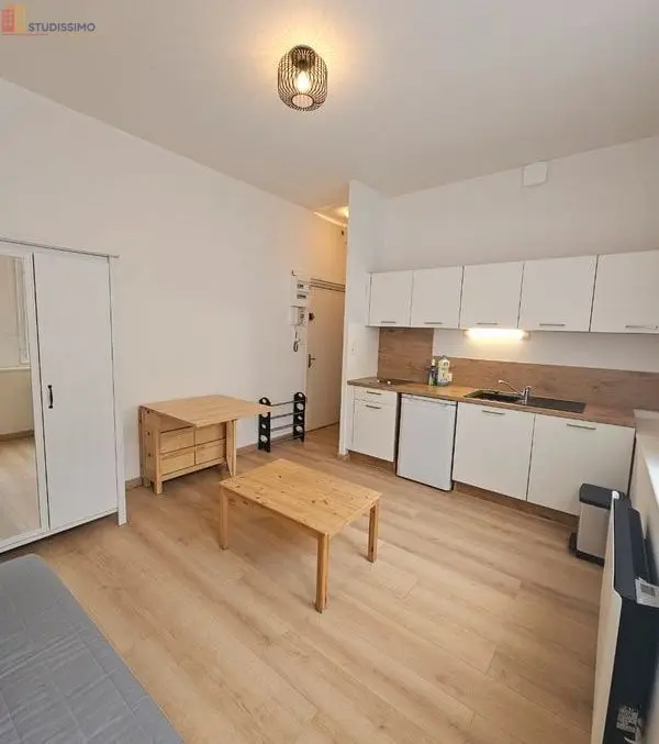 Studio meublé 20m² Saint-Étienne 42000 - Hypercentre, meublé - Photo 4