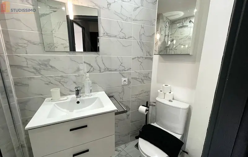 Studio meublé 31m² Saint-Étienne 42100 - Meublé, 1 chambre - Photo 4