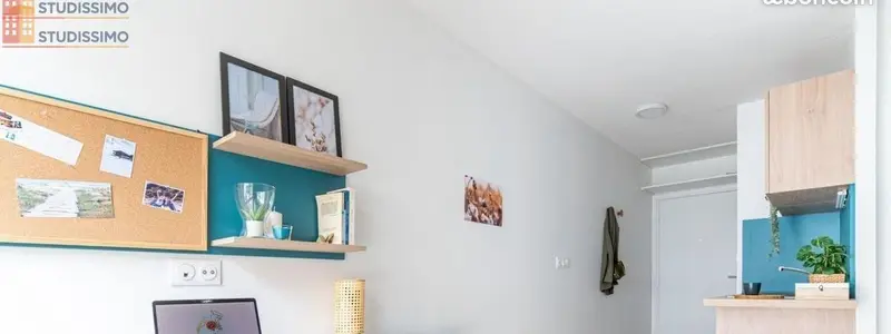 Studio meublé 15m² Saint-Étienne 42100 - Meublé, 1 pièce - Photo 11