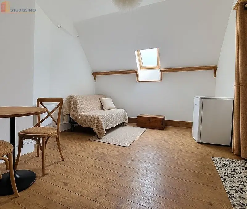 Studio meublé 21m² Saint-Étienne centre - Atypique, lumineux - Photo 18