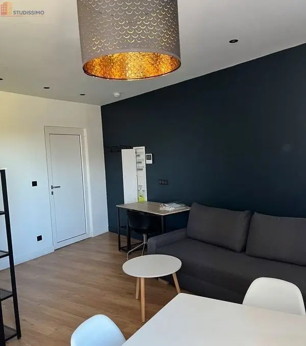 Studio meublé 26m² Saint-Étienne 42100 - Proche Tréfilerie - Photo 23