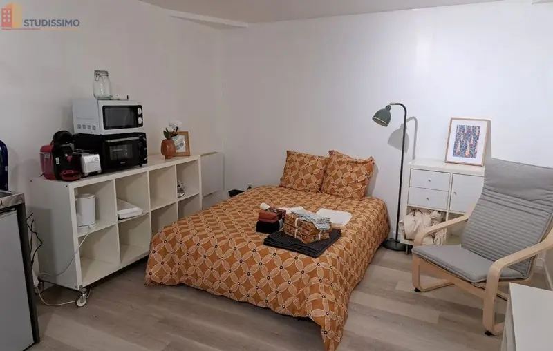 Studio meublé 25m² Montbrison - Terrasse privative, centre-ville - Photo 26